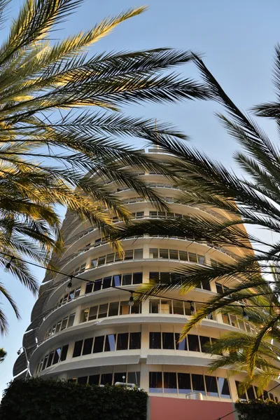 DSC_6950 (Large).JPG